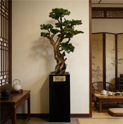 Bonsai péine saorga