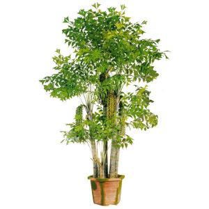 Píosa Crann Fishtail Saorga