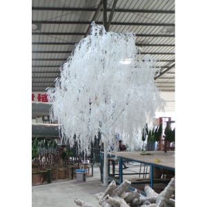 Crann Seileach Gloradh Saorga Bán