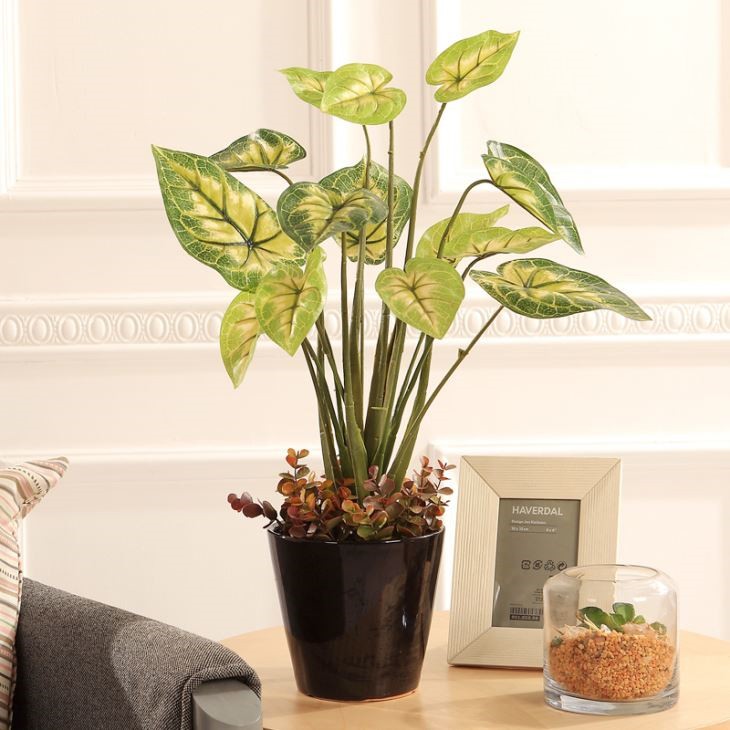 Artificial Caladium Plant