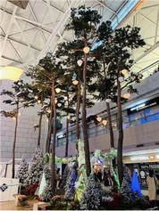 Snáthaid Fada Péine Saorga