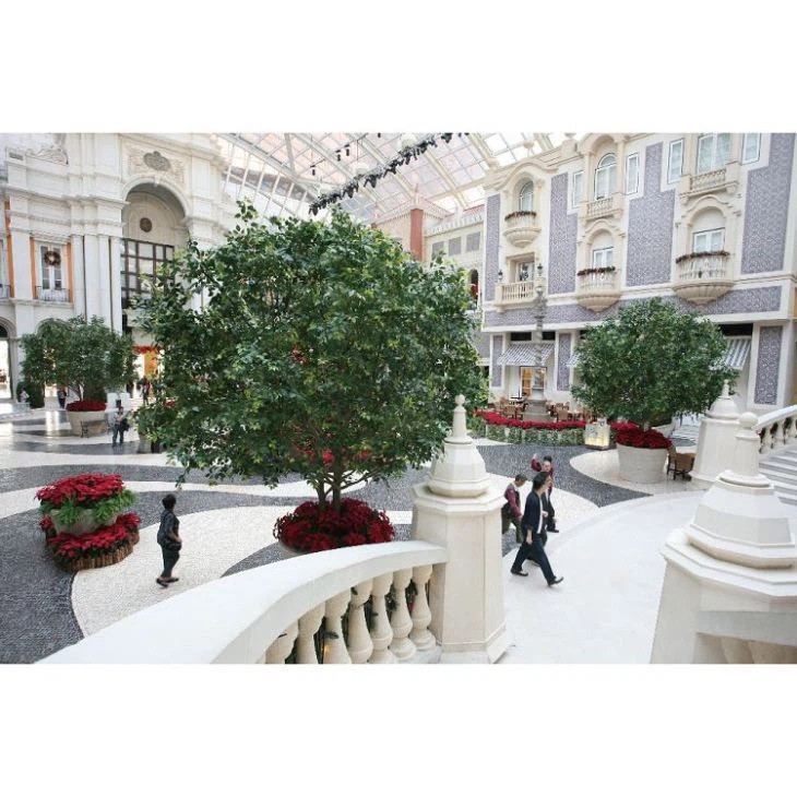 Banyan Tree maisiúla