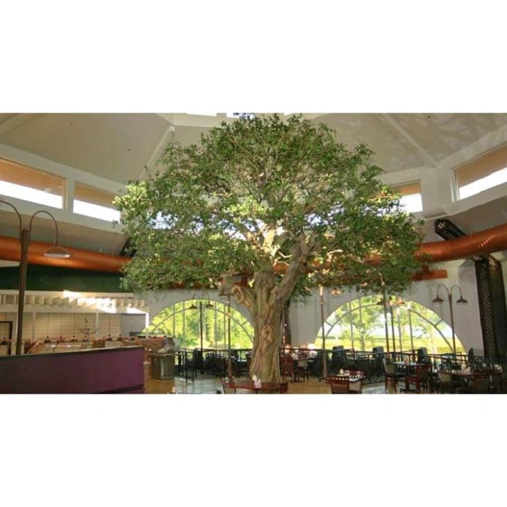 Banyan Tree falsa